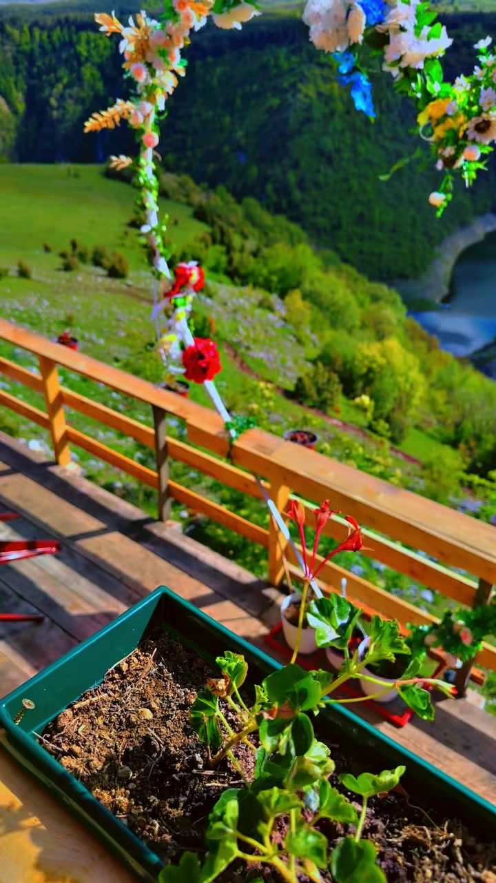 Uvac Special Nature Reserve (שמורת אובאץ')