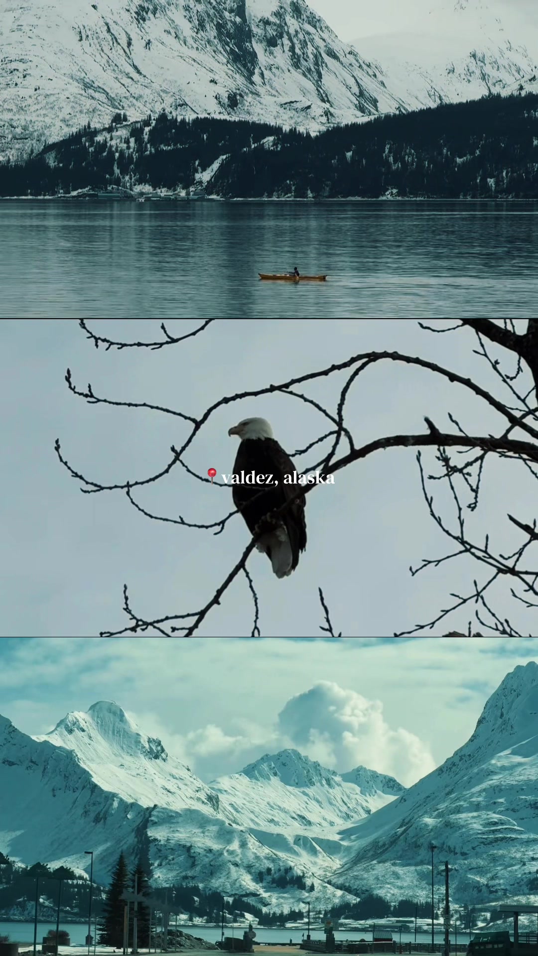 Valdez