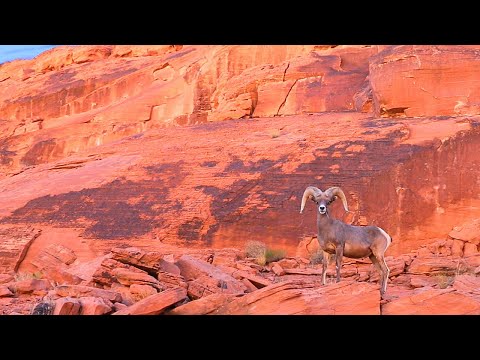 Valley of Fire State Park