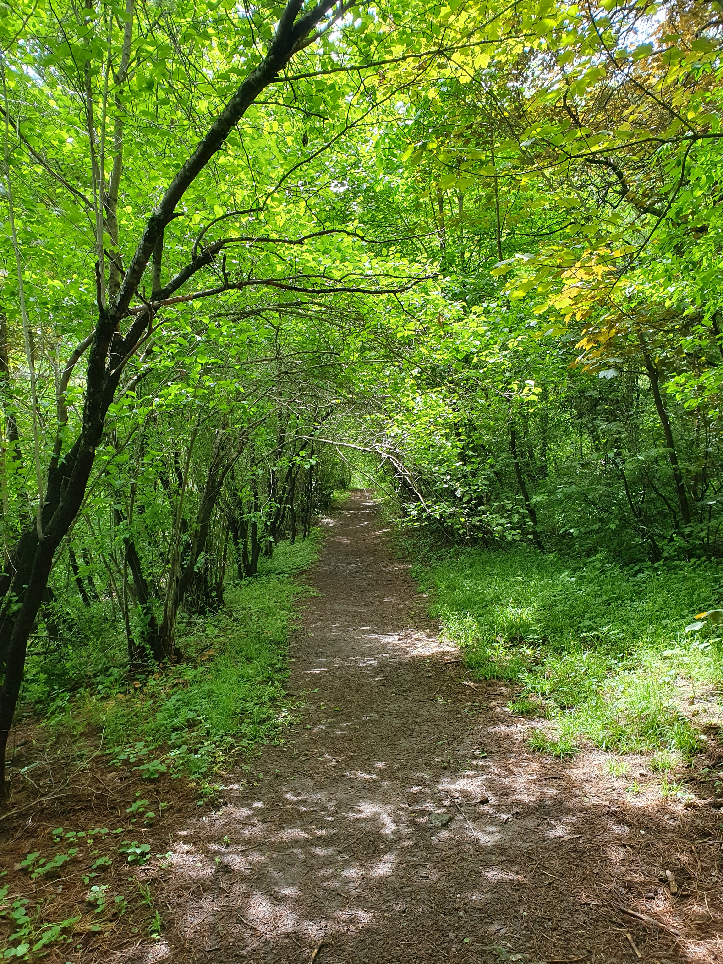Vanadzor Botanical Garden (Ботанический сад Ванадзора)