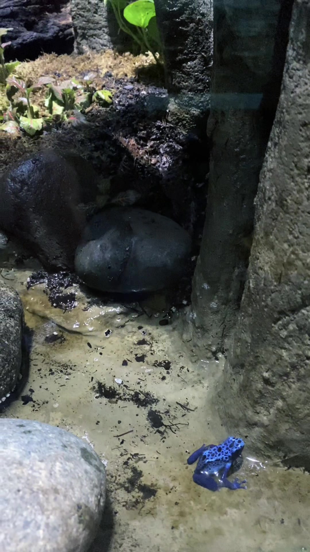 Vancouver Aquarium