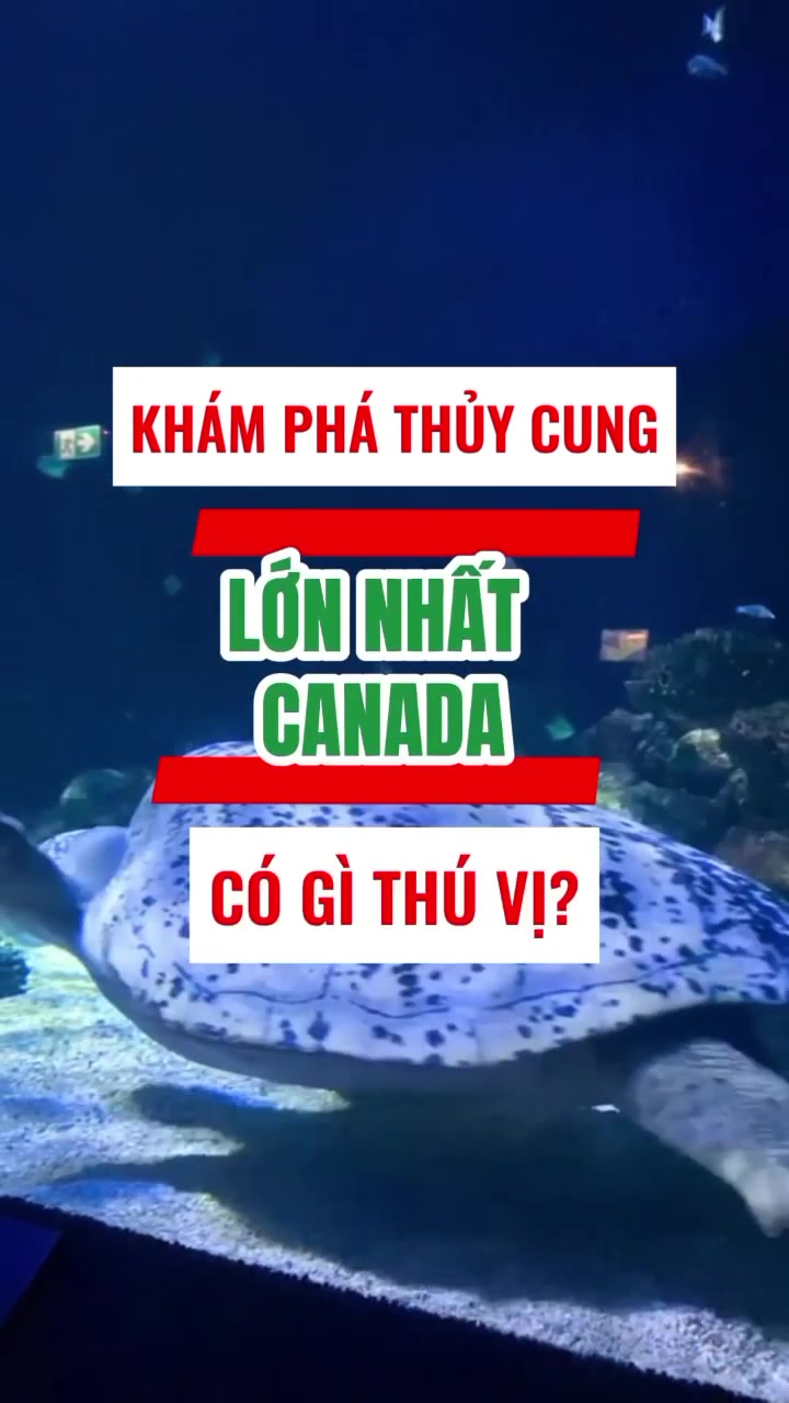 Vancouver Aquarium