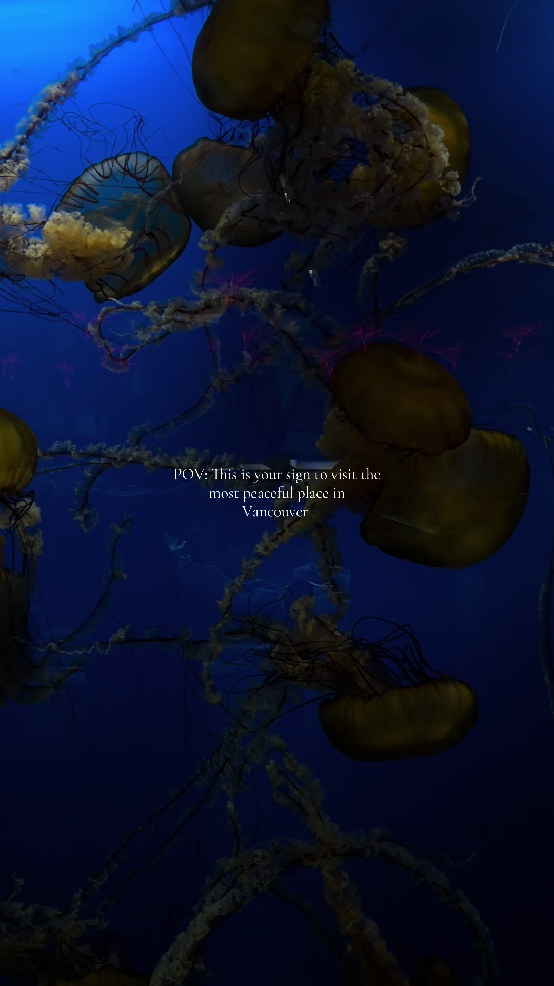 Vancouver Aquarium