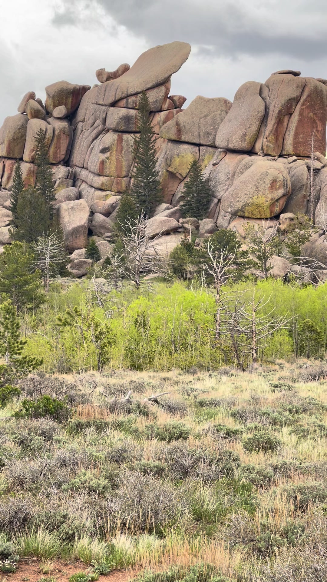 Vedauwoo Recreation Area