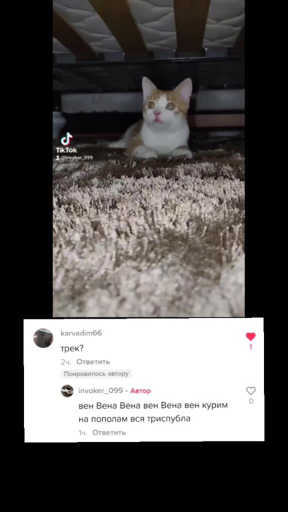 Вена