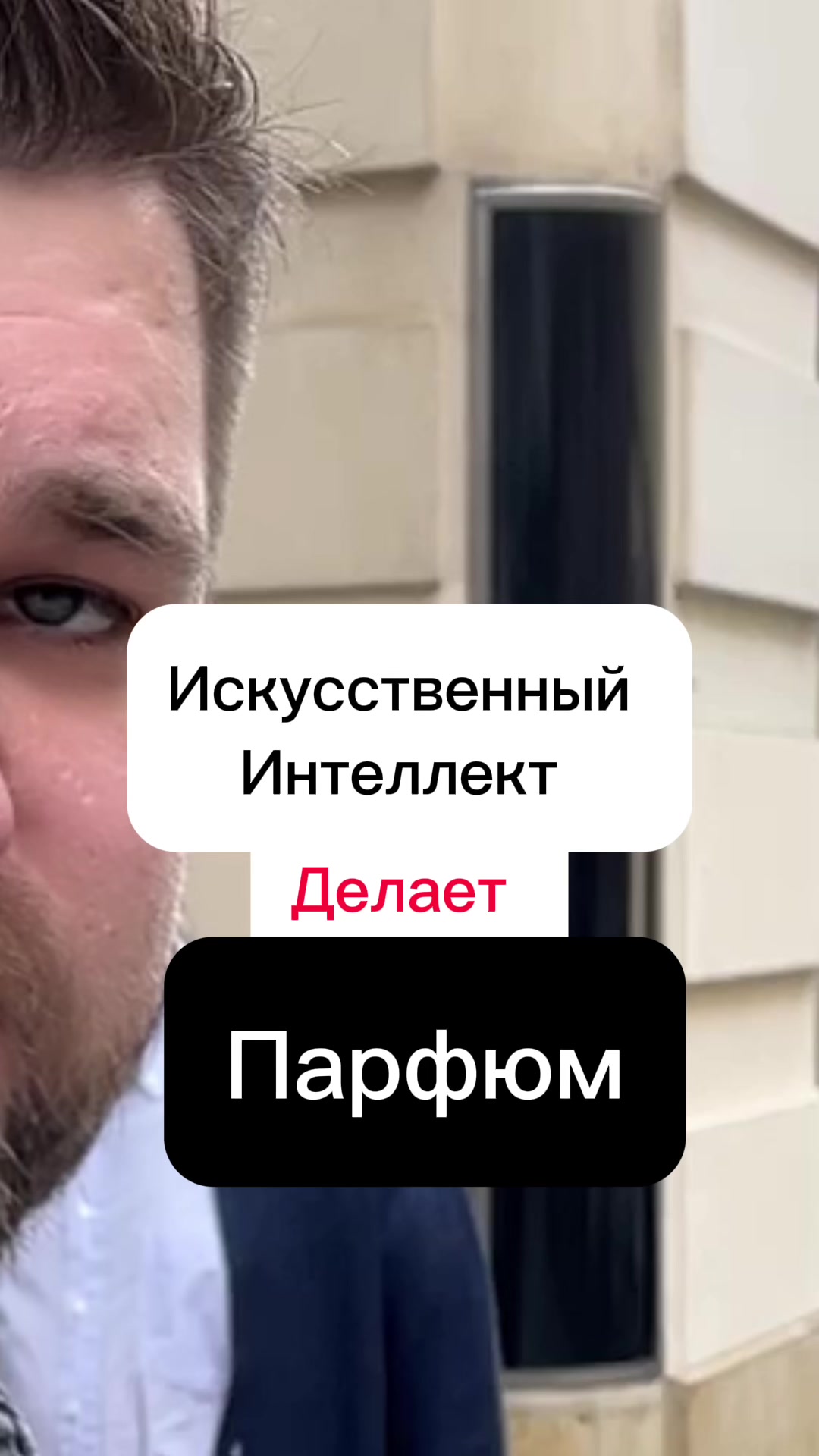 Вена