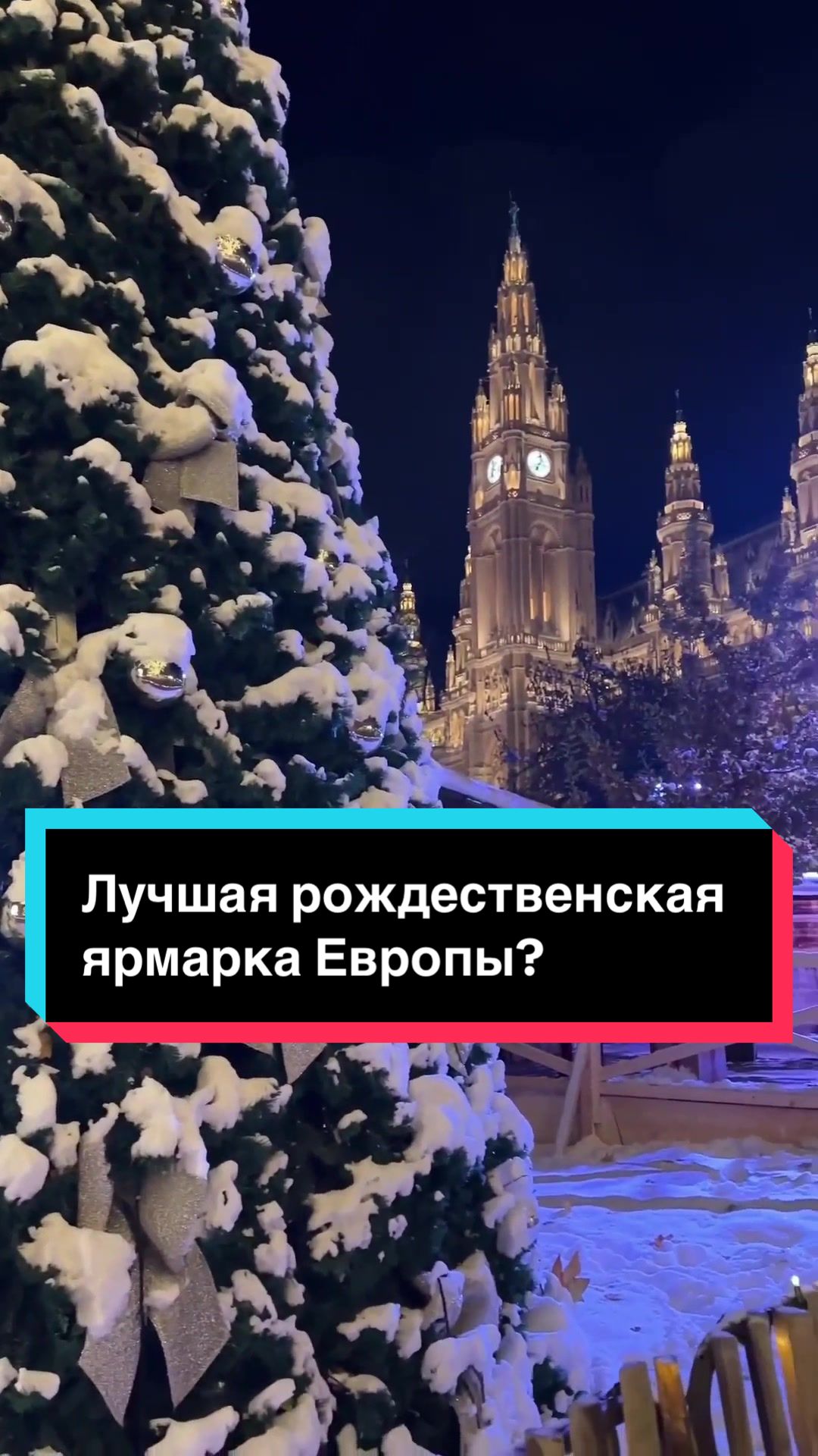 Вена