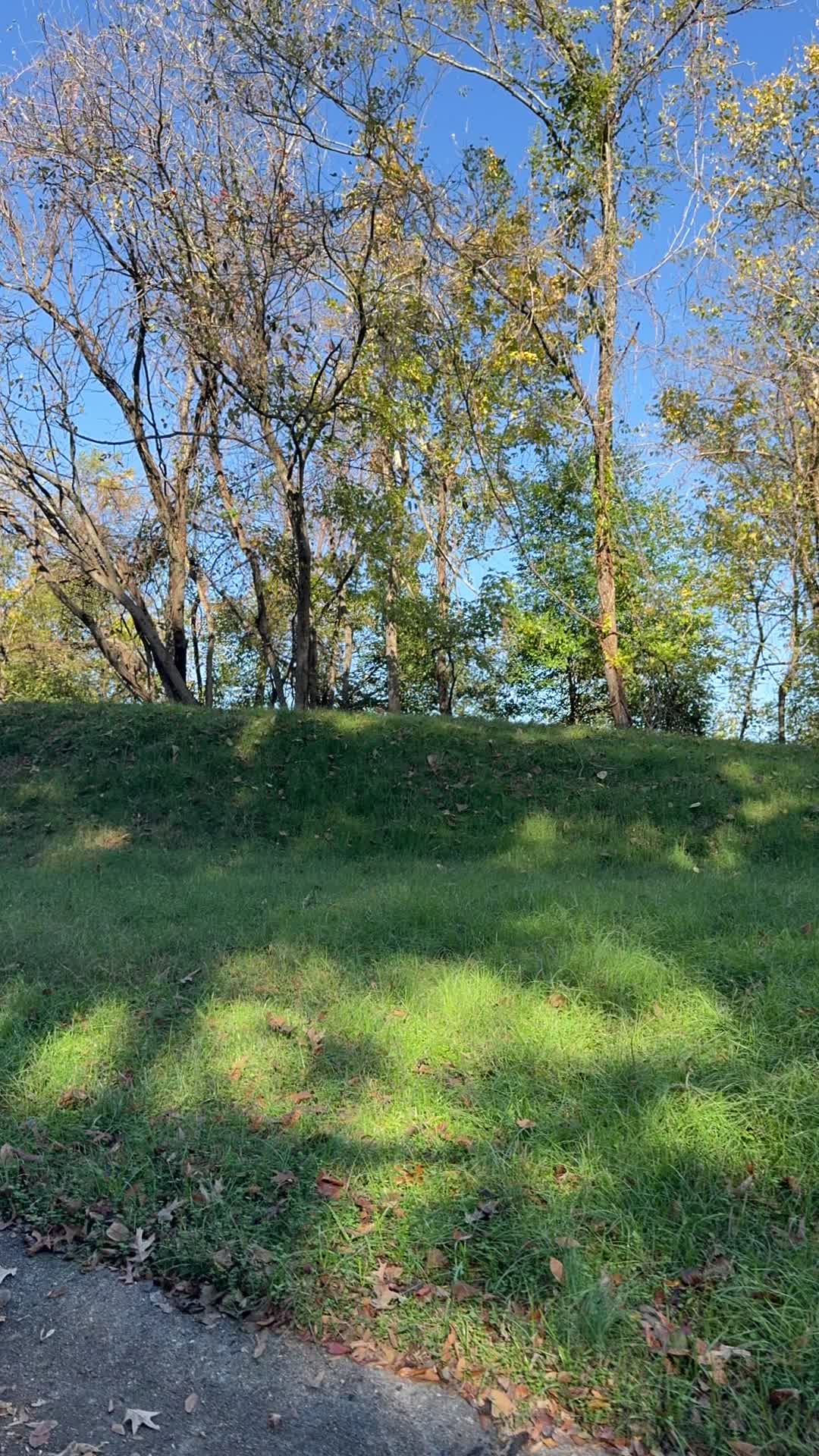 Vicksburg National Military Park