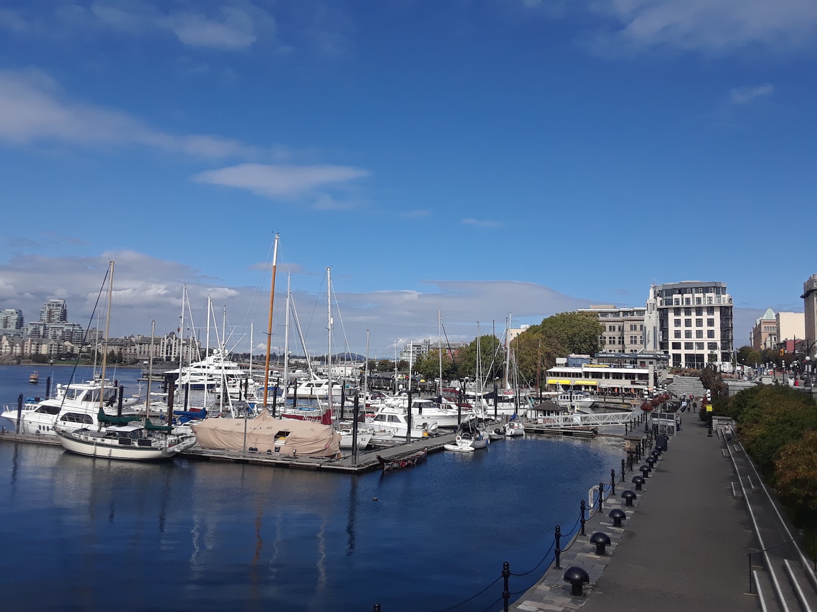 Inner Harbour