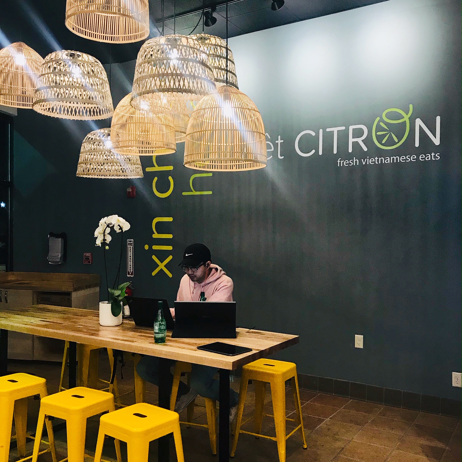 Picture for Viet Citron