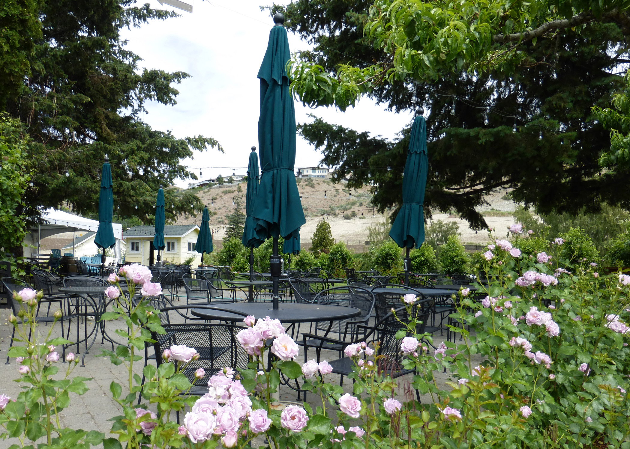 Vin du Lac Winery