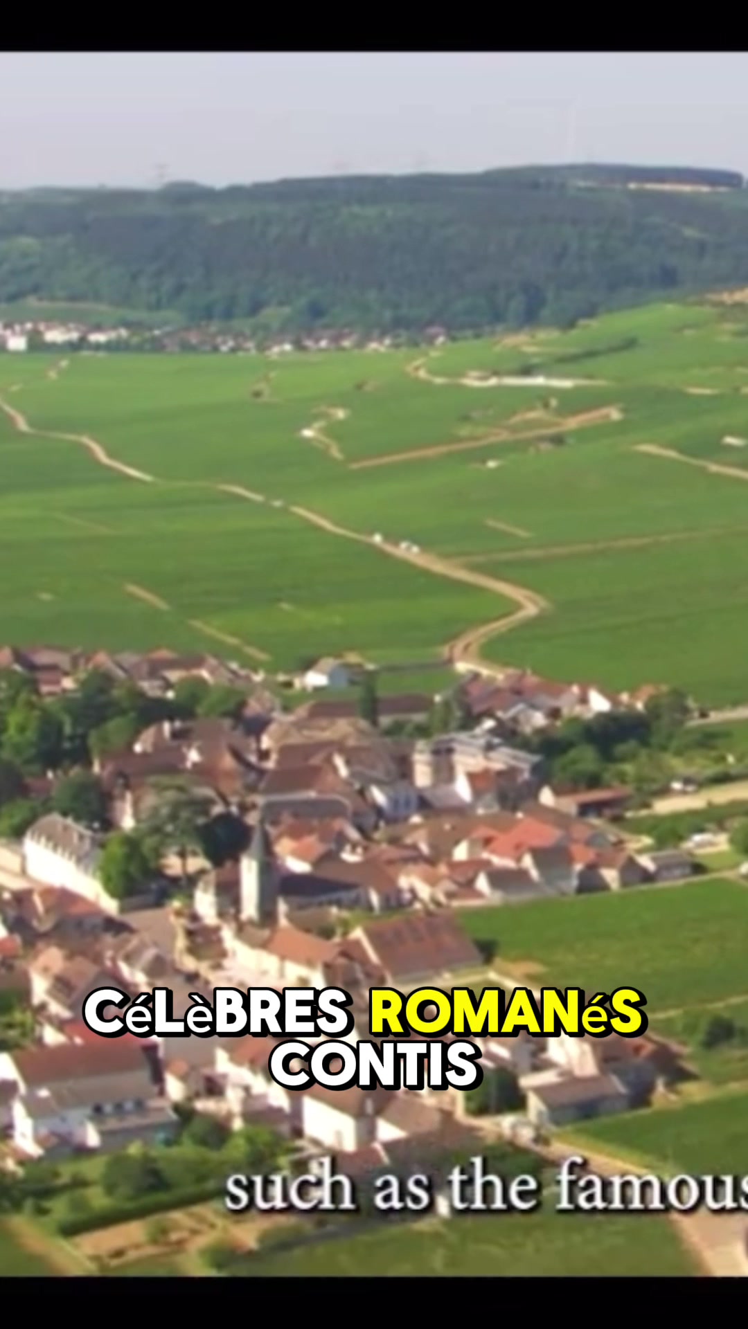 Vineyards of Vosne-Romanée (Côte de Nuits)