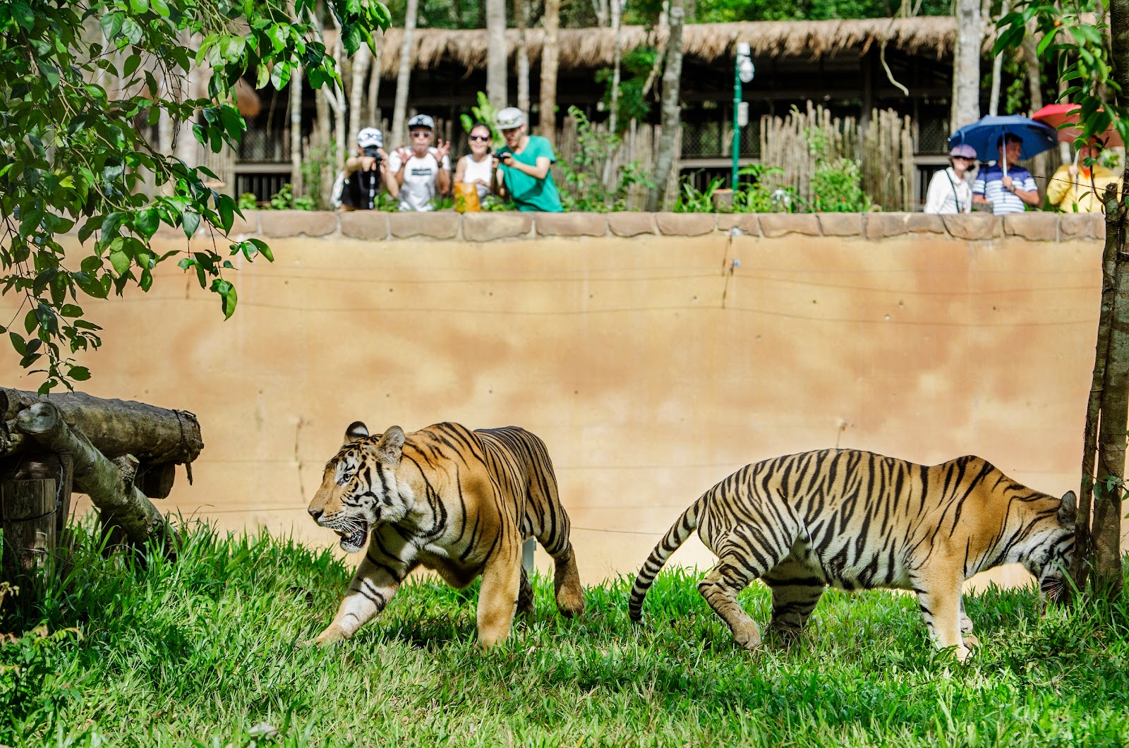 Парк Vinpearl Safari
