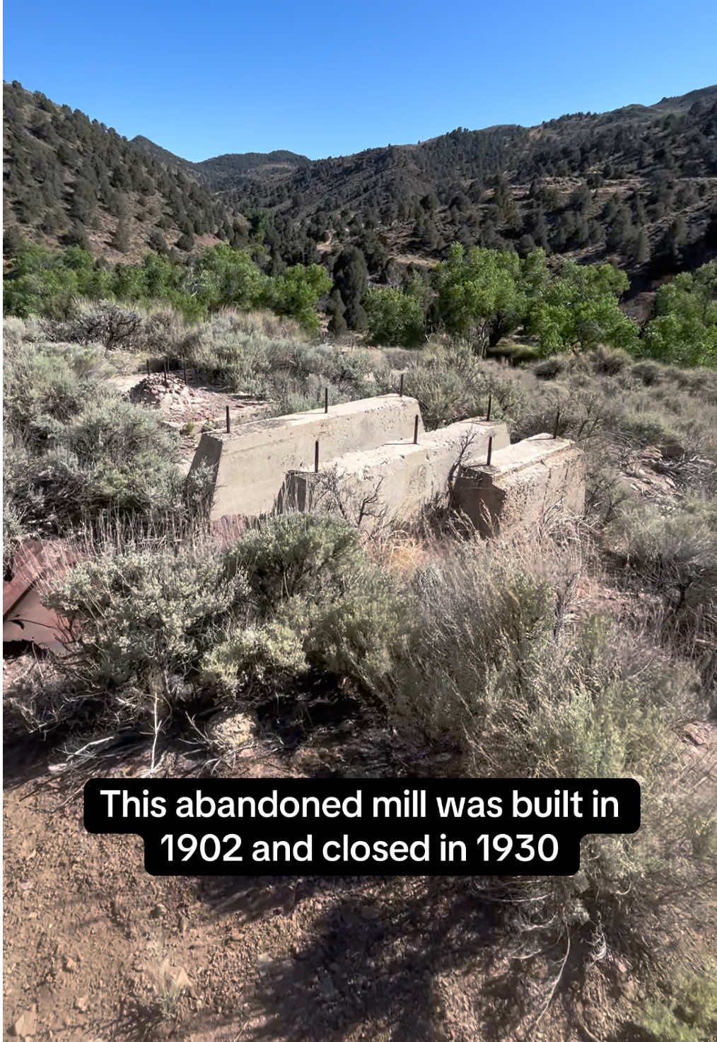 Virginia City