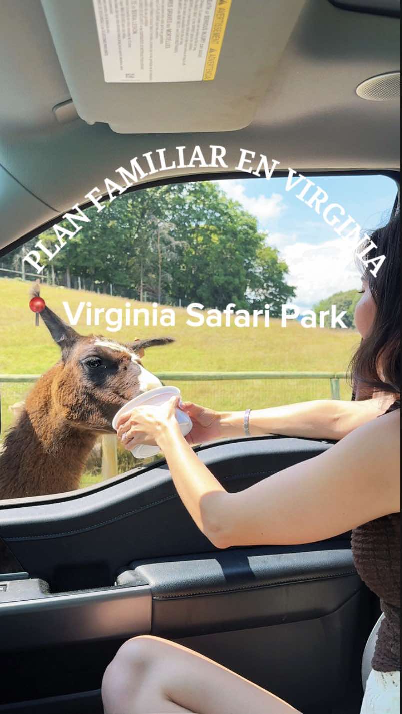 Virginia Safari Park
