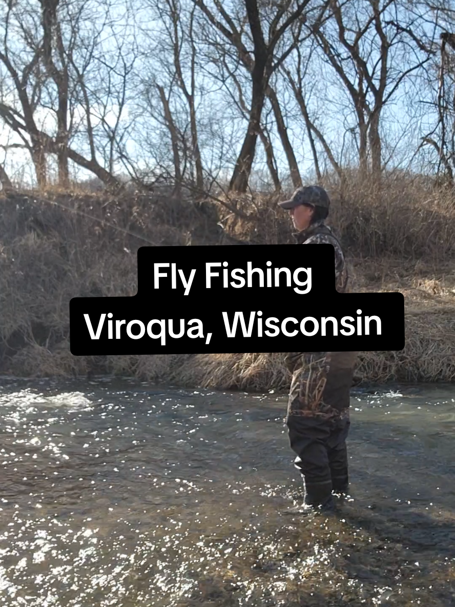 Viroqua, WI