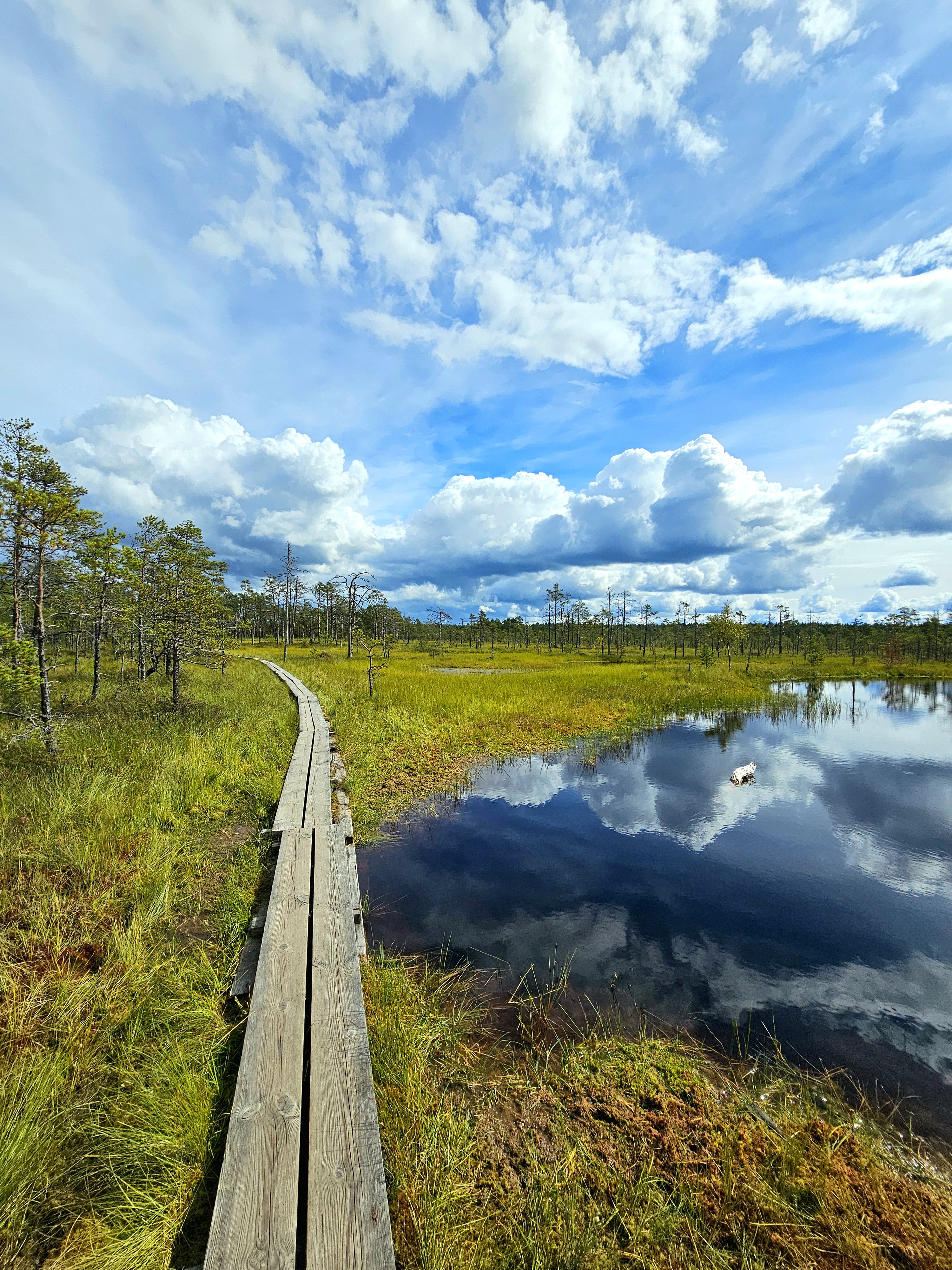 Viru Bog Trail