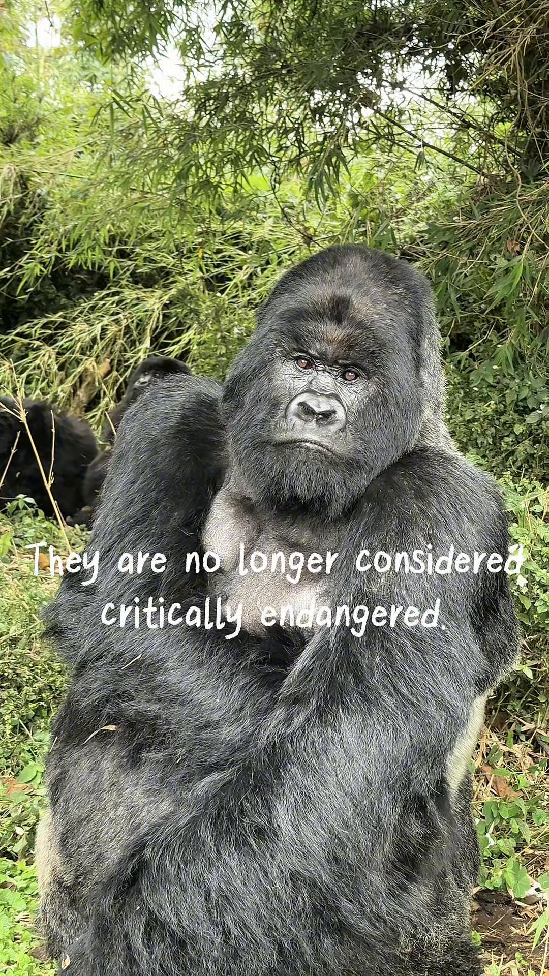 Virunga National Park
