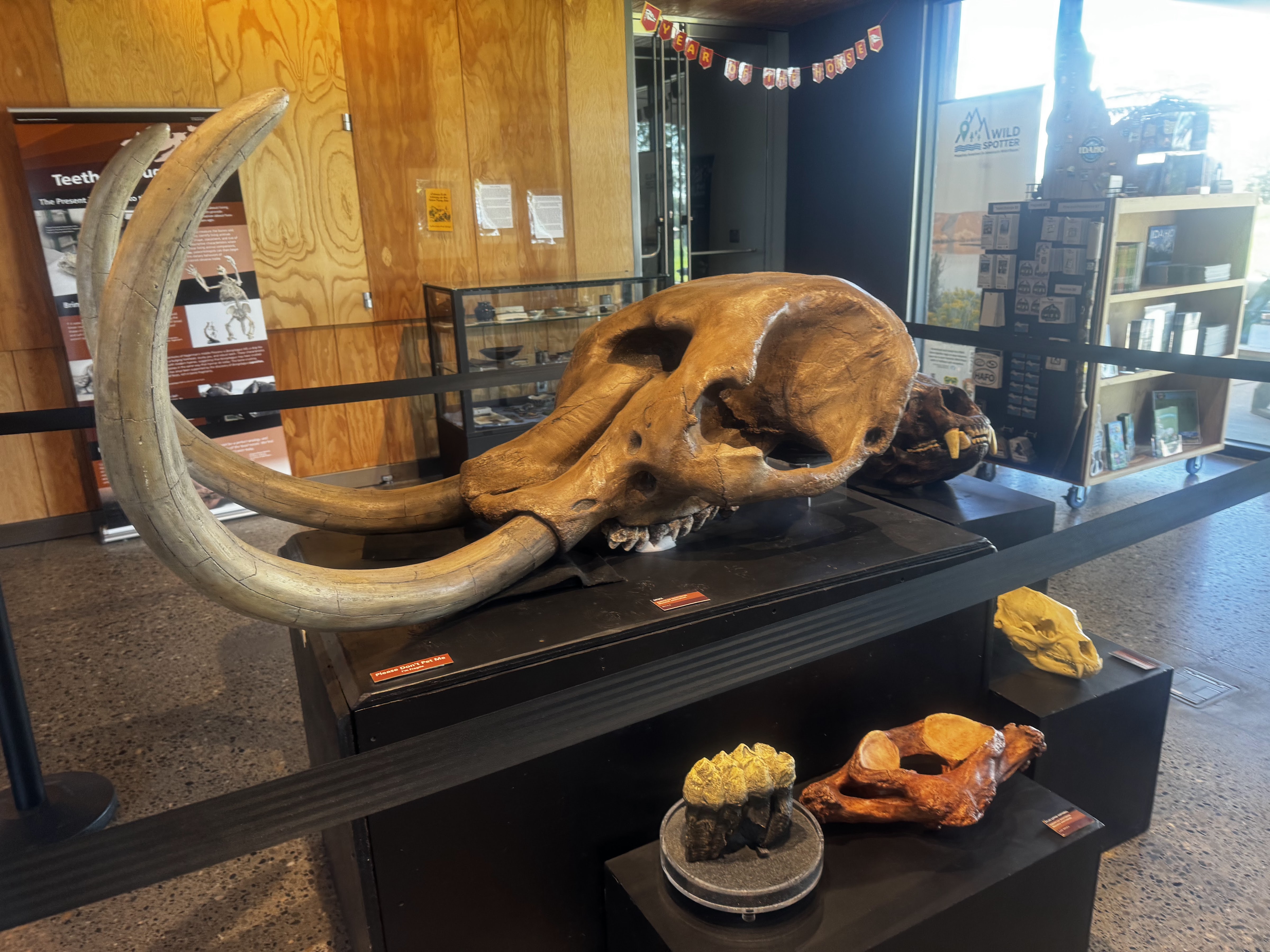 Hagerman Fossil Beds National Monument