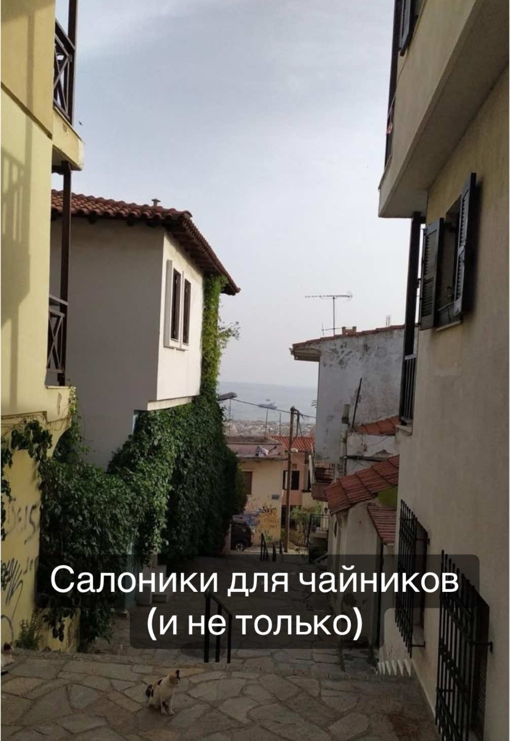 Византийские стены