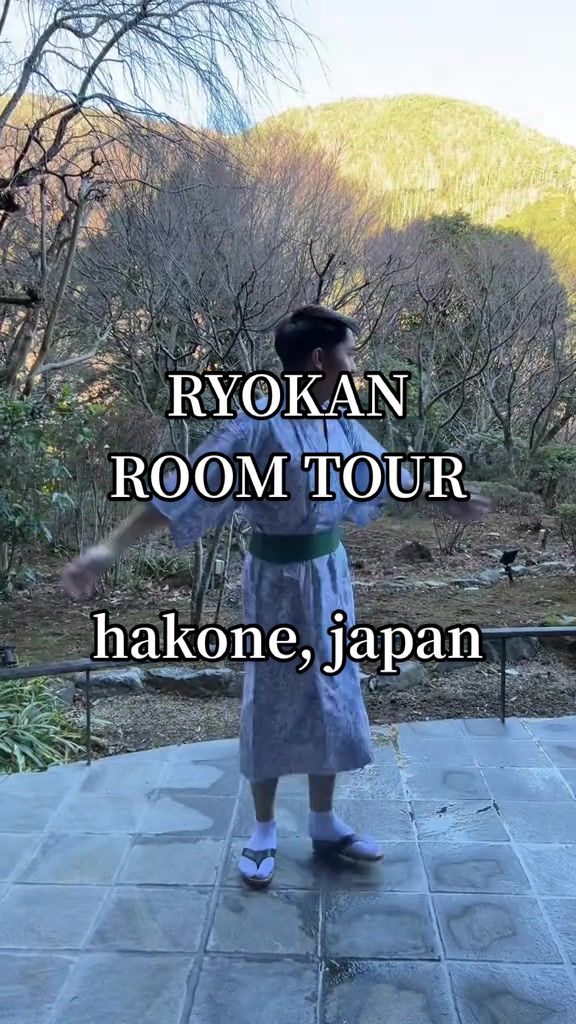אונסן ב-האקונה (Hakone Open-Air Museum / Hakone hot springs area)