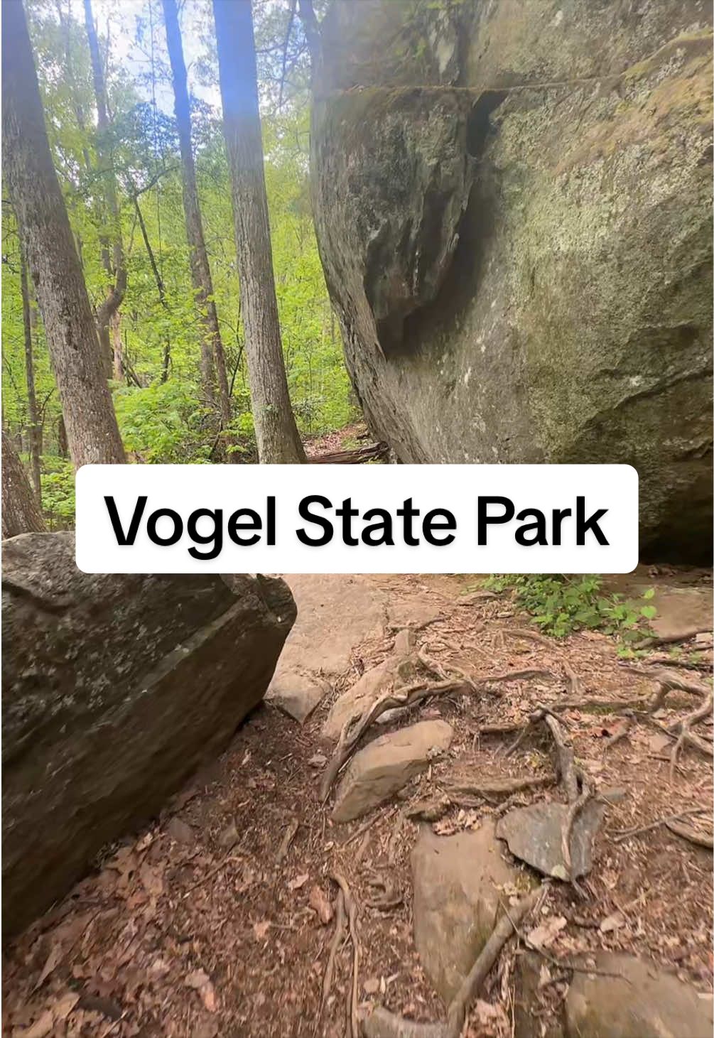 Vogel State Park
