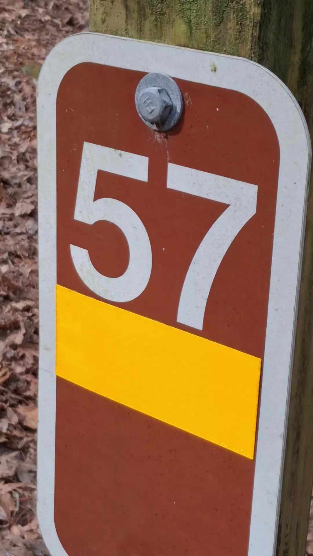 Vogel State Park