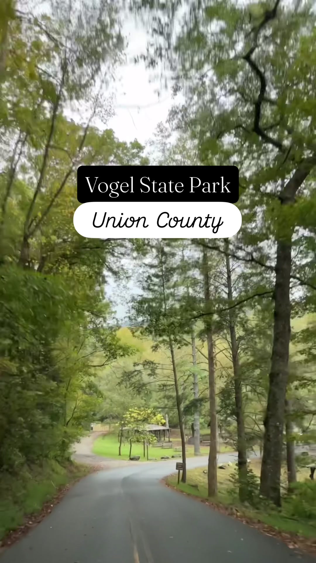 Vogel State Park