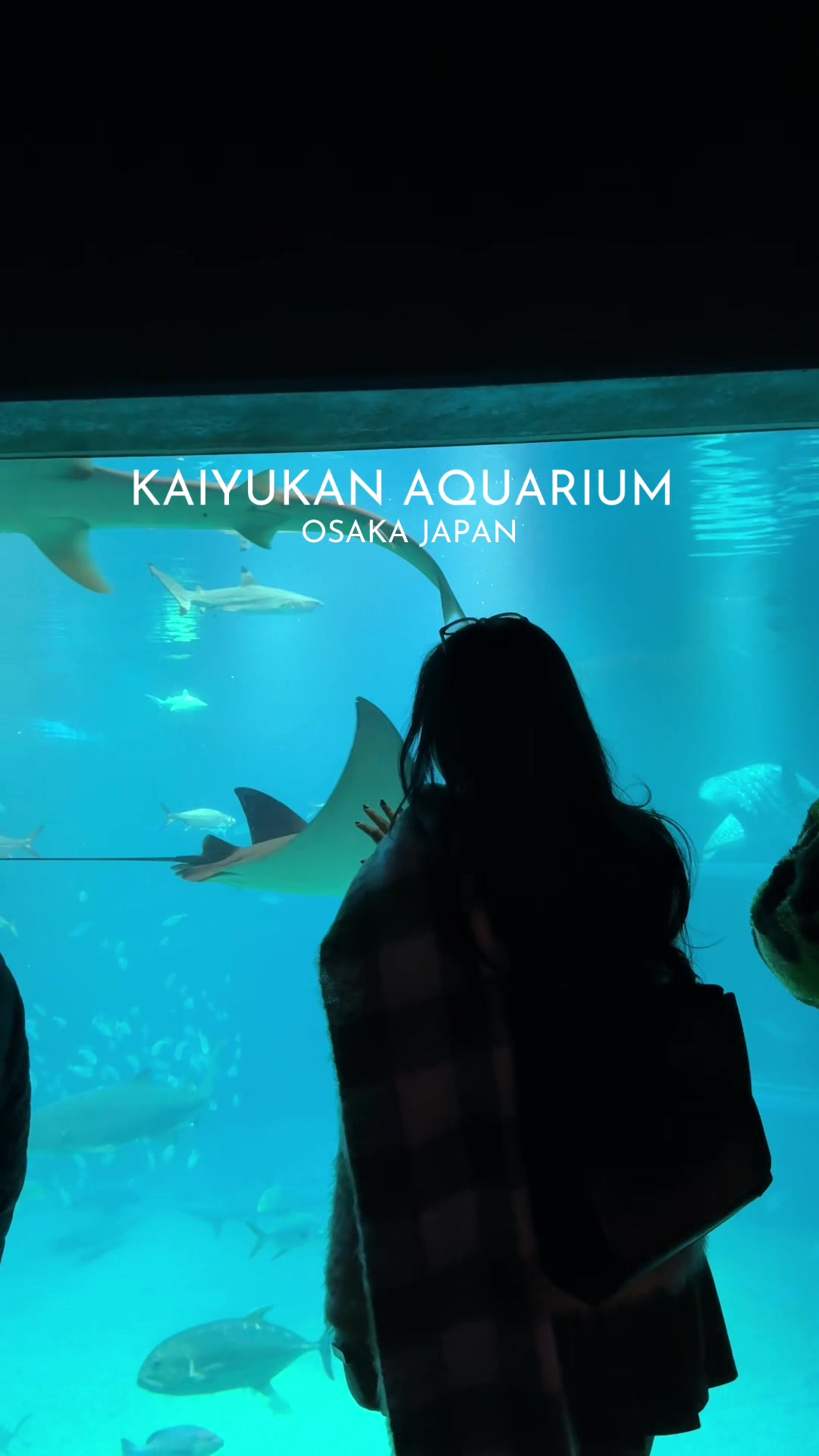 אוסקה אקואריום קאיאוקאן (Osaka Aquarium Kaiyukan)