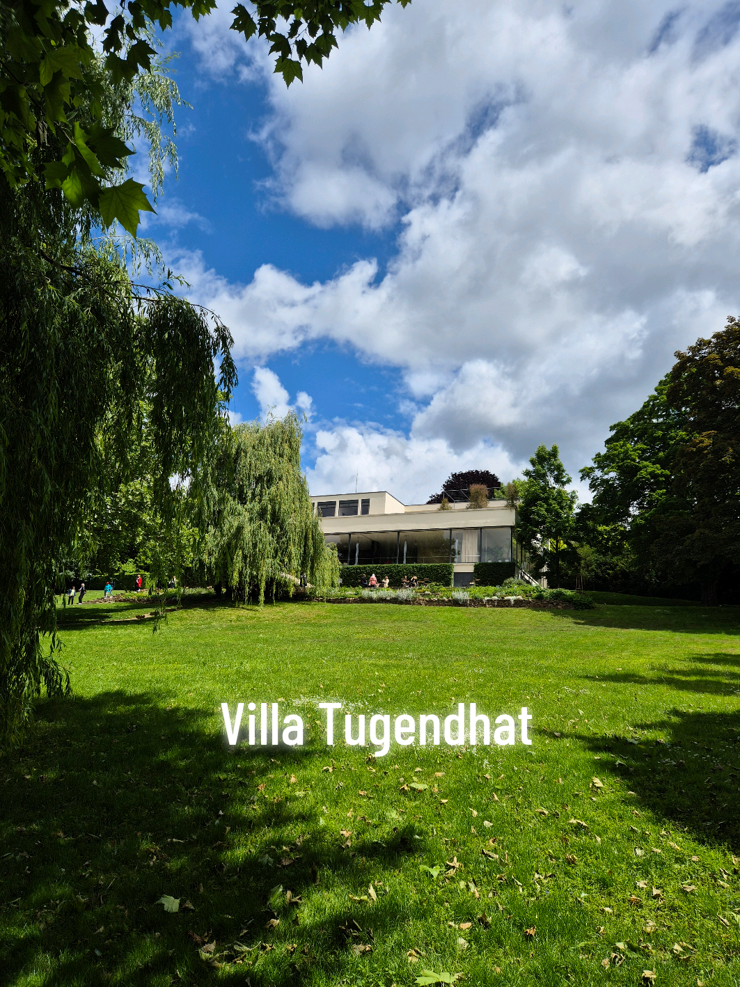 וילה טוגנדהאט, ברנו (Villa Tugendhat)
