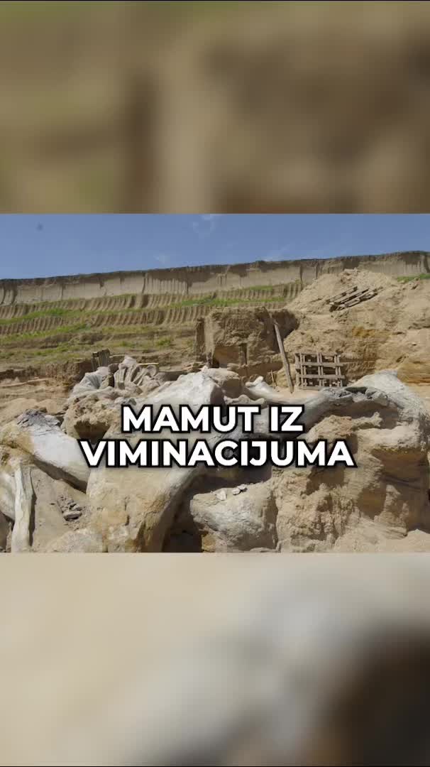 וימינאציום (Viminacium)