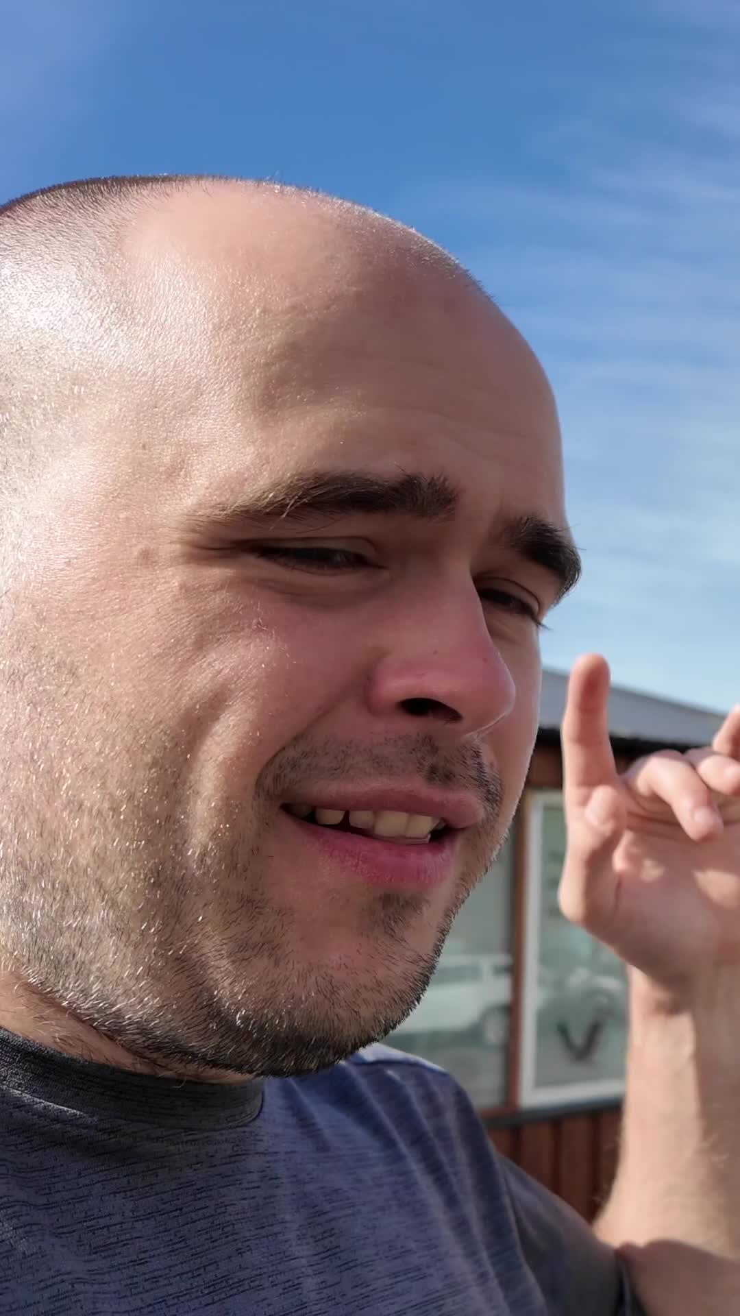 ויק