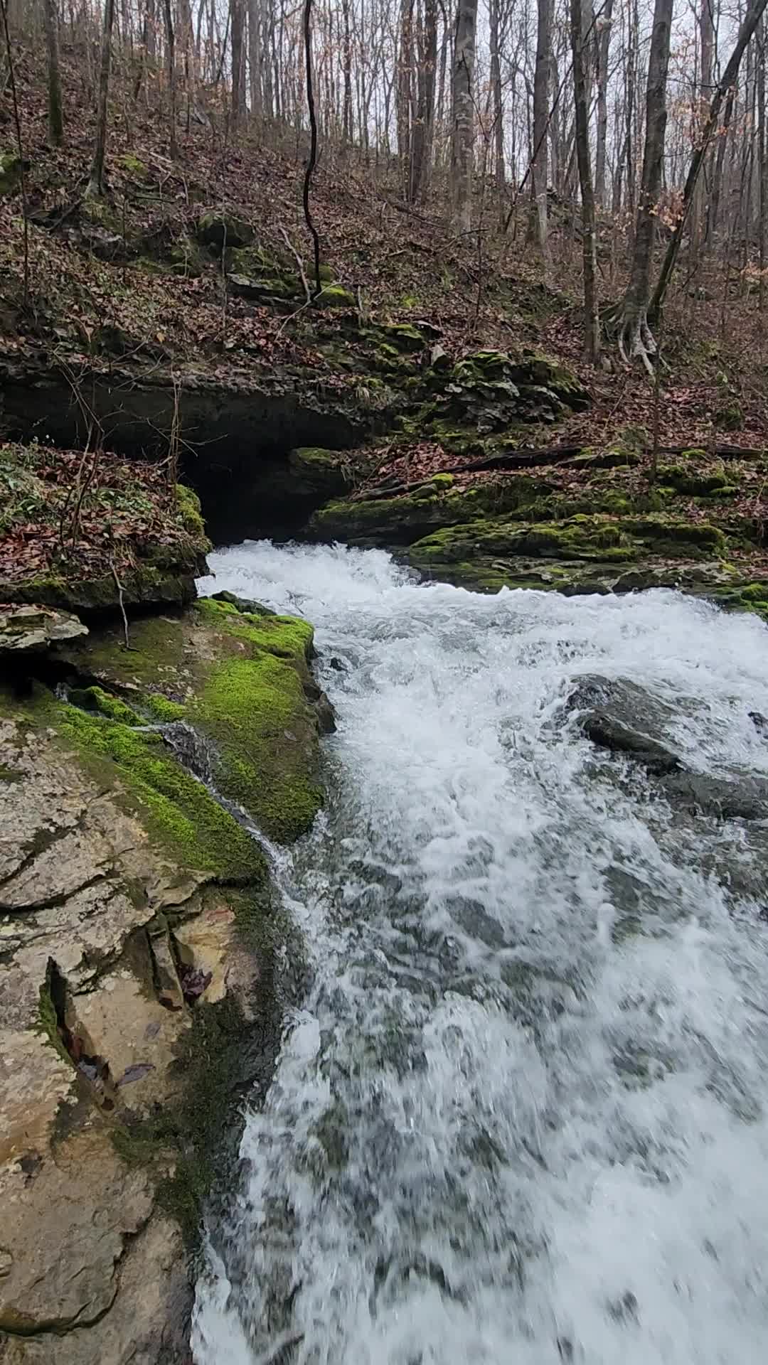 Walls of Jericho