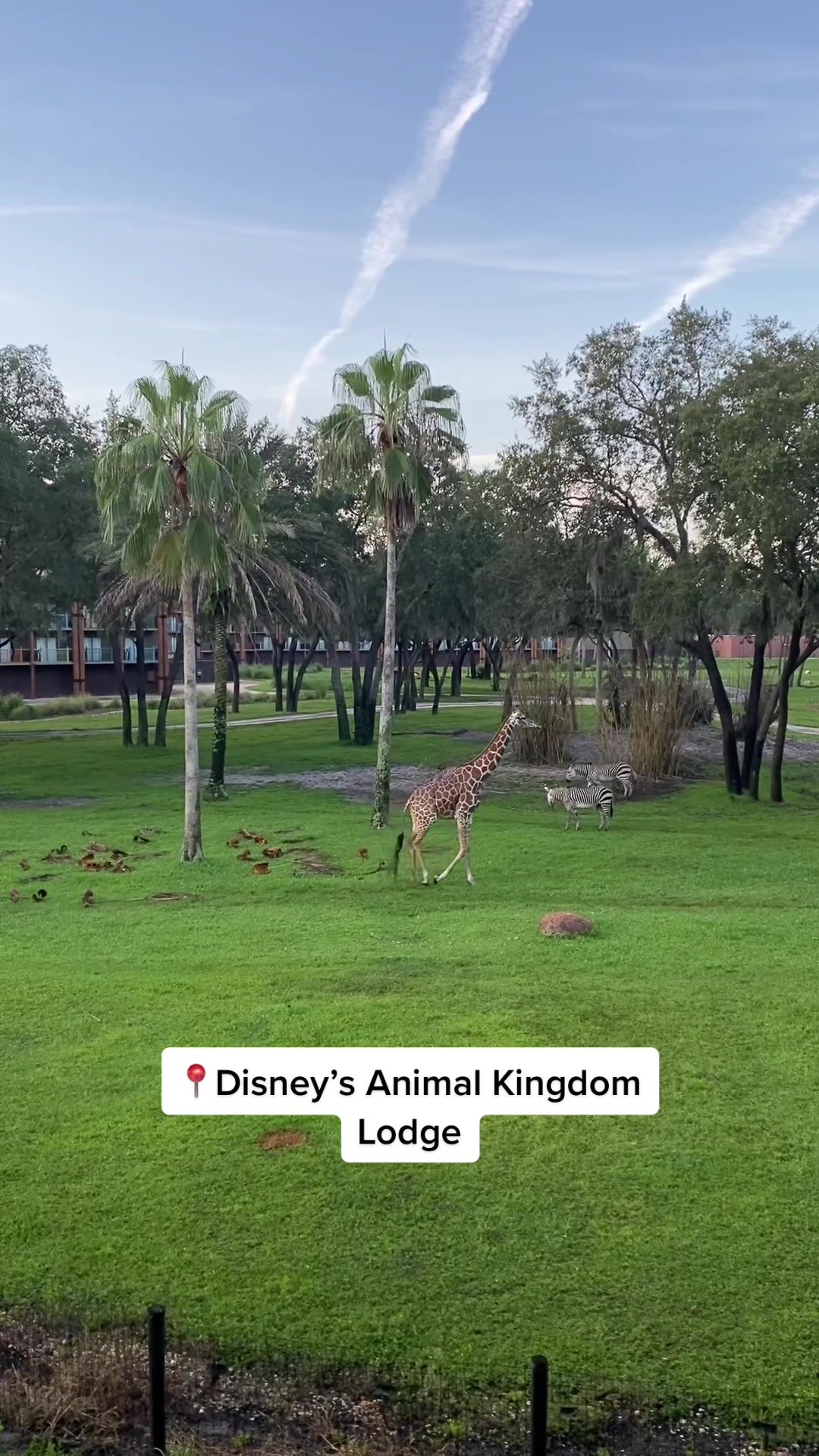 Walt Disney World Resort
