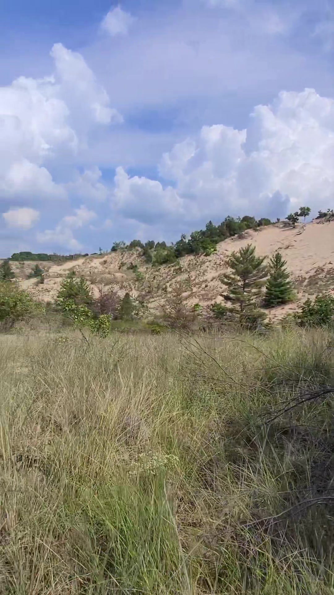 Warren Dunes State Park