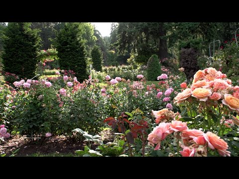 Washington Park