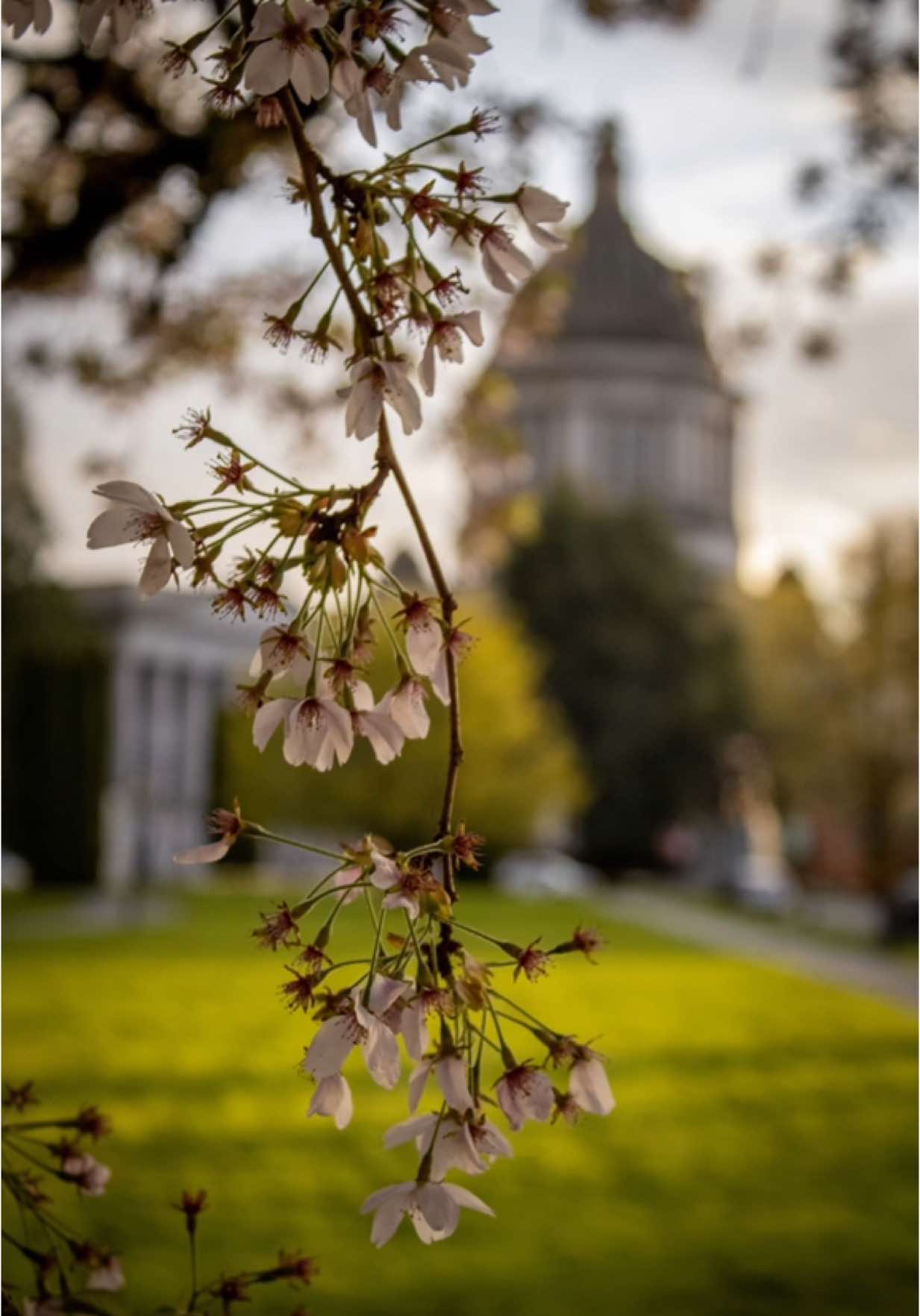 Washington State Capitol