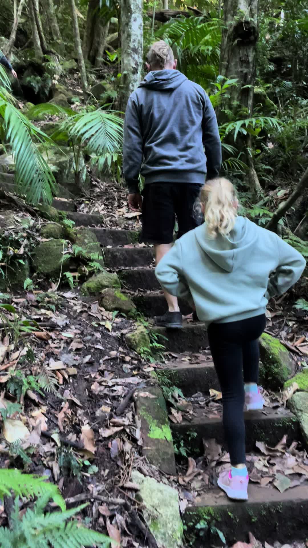 Watagans National Park