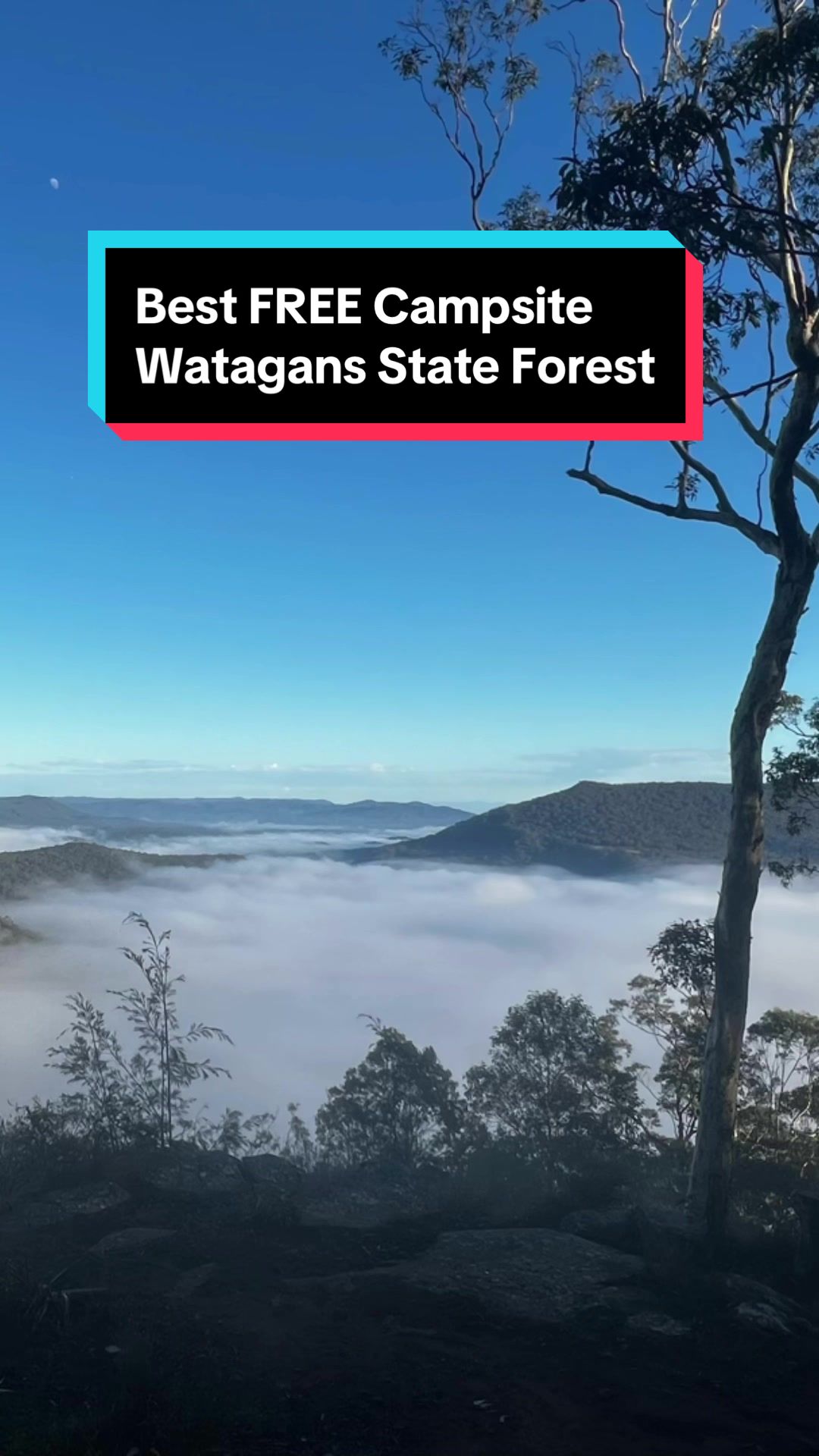 Watagans National Park