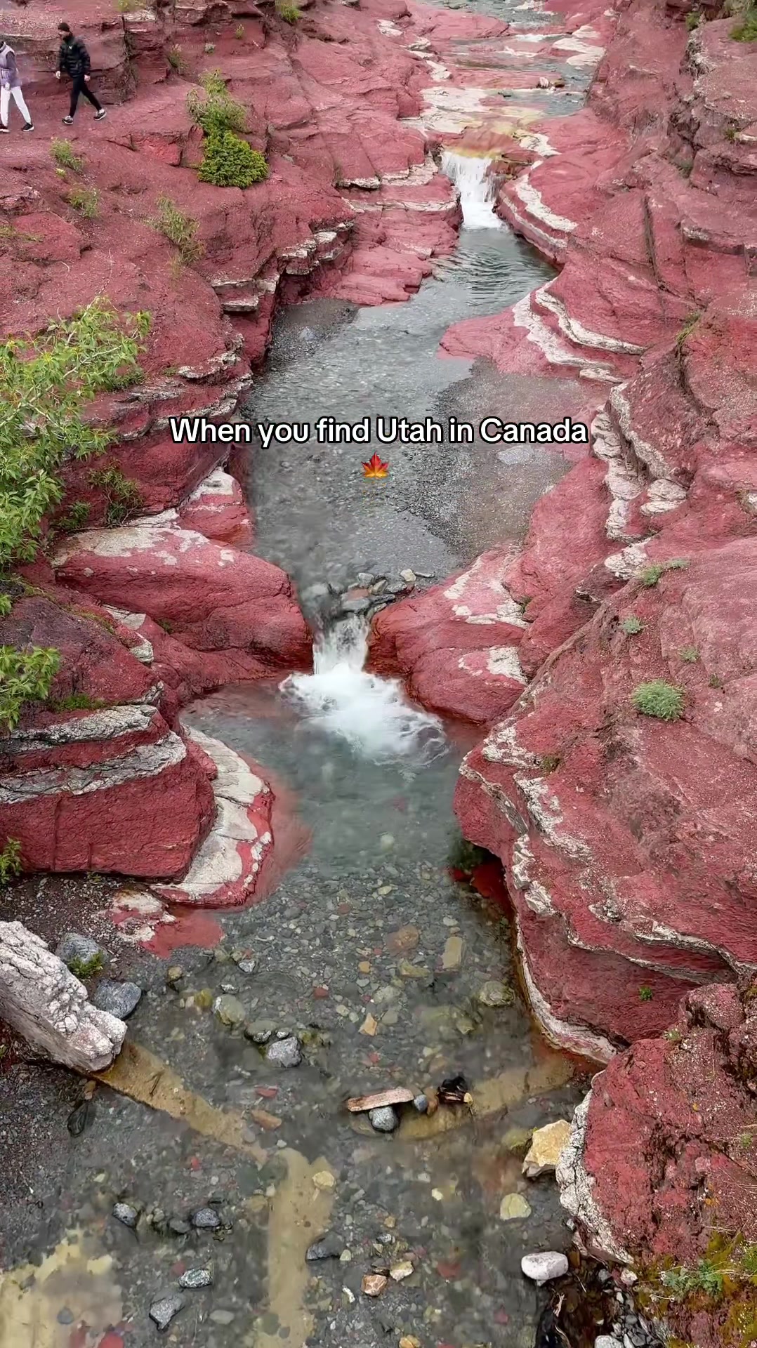 Waterton Lakes National Park