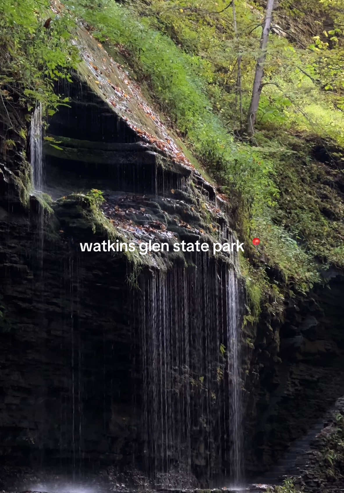 Watkins Glen State Park