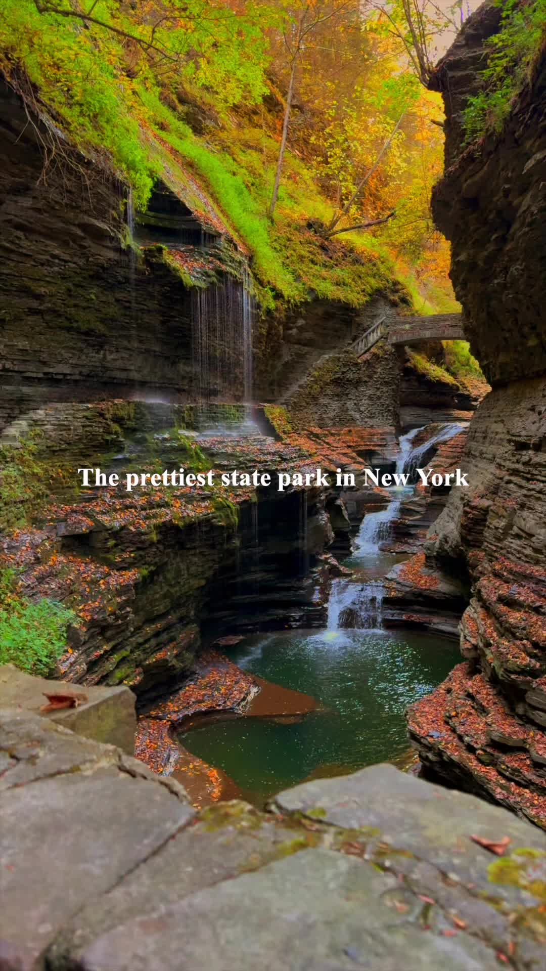 Watkins Glen State Park