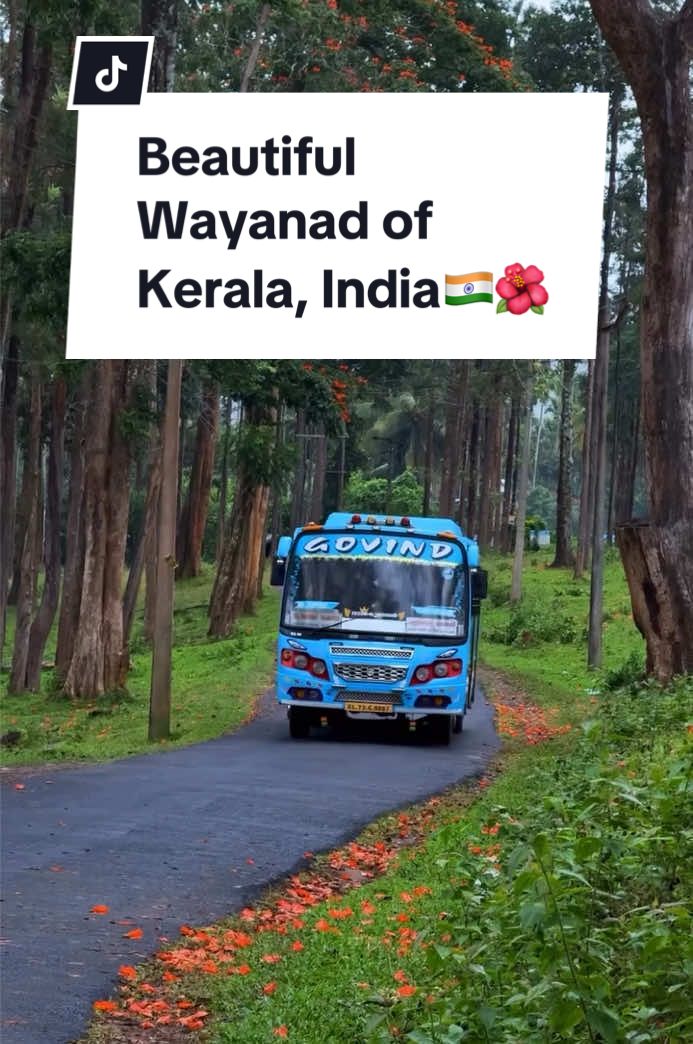 Wayanad (Edakkal Caves area)