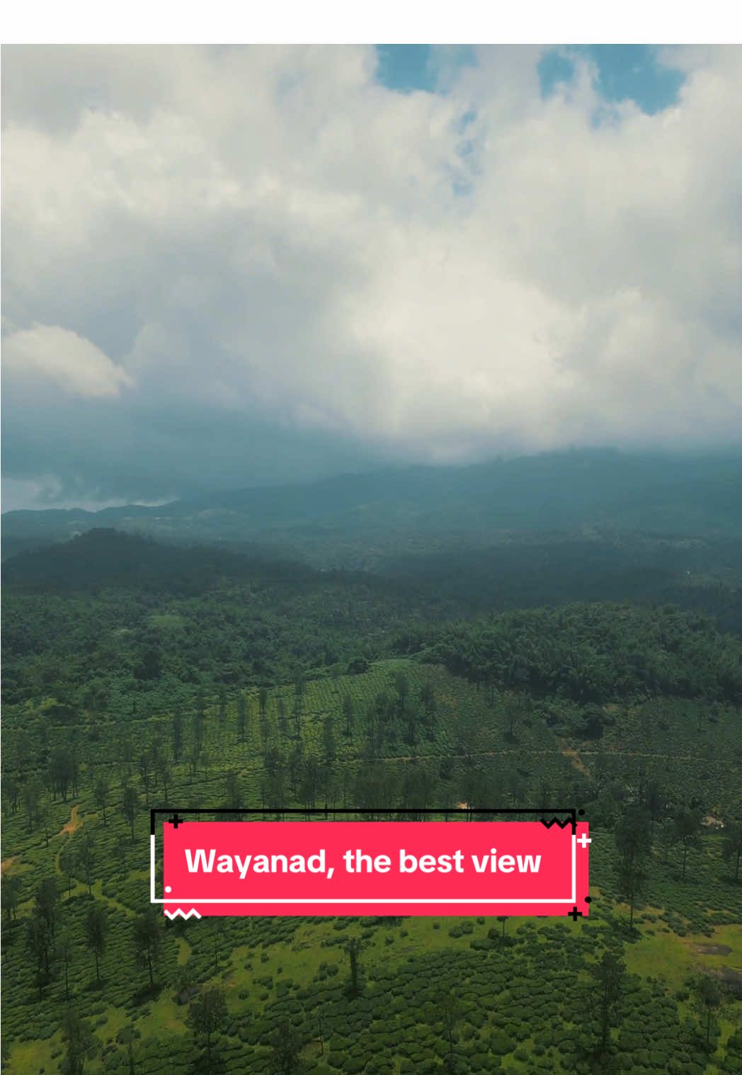 Wayanad (Edakkal Caves area)