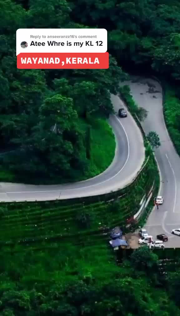 Wayanad (Edakkal Caves area)