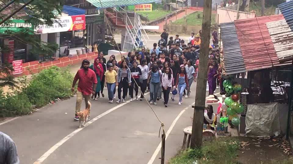 Wayanad (Edakkal Caves area)