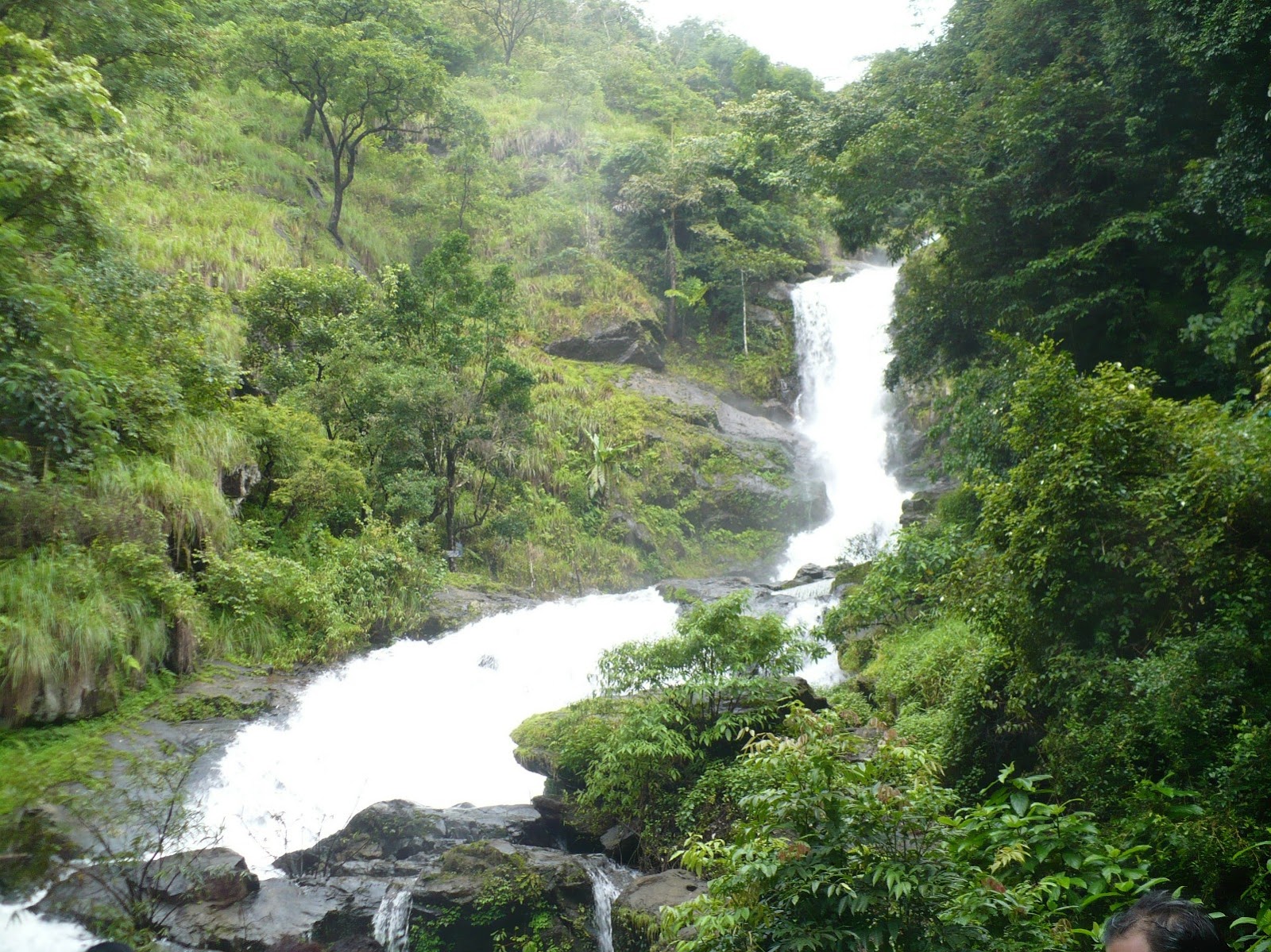 Wayanad (Edakkal Caves area)