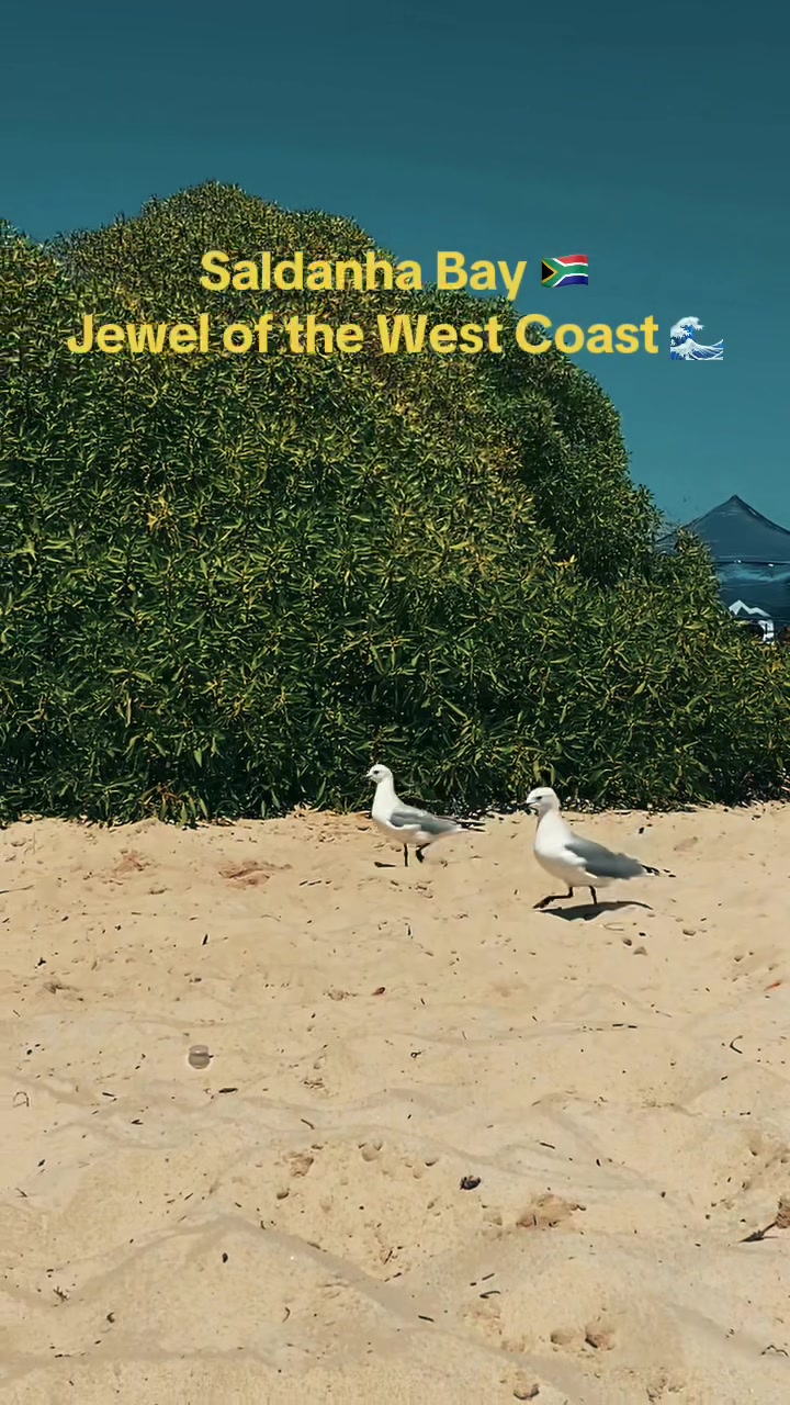 West Coast National Park