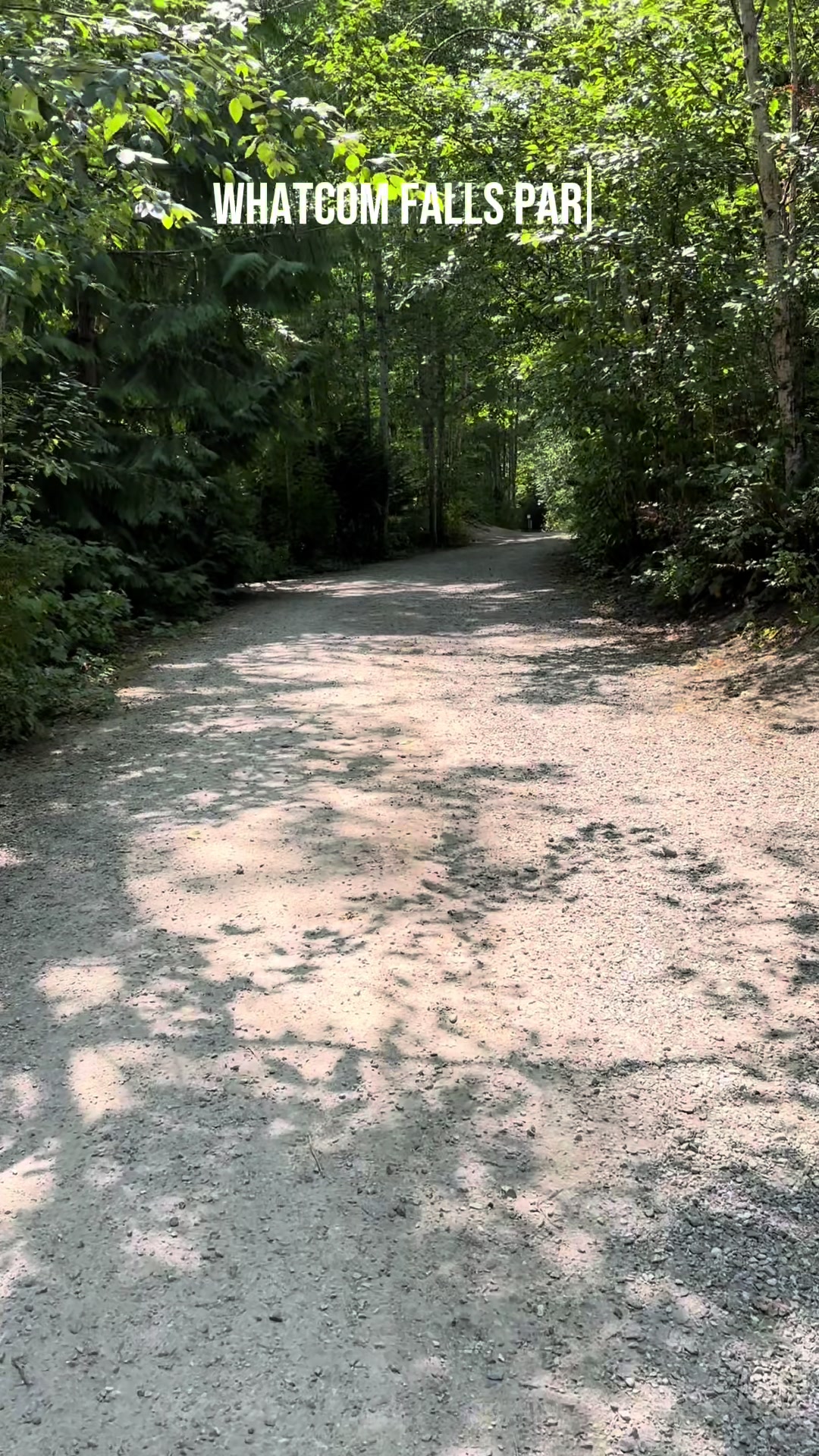 Whatcom Falls Park