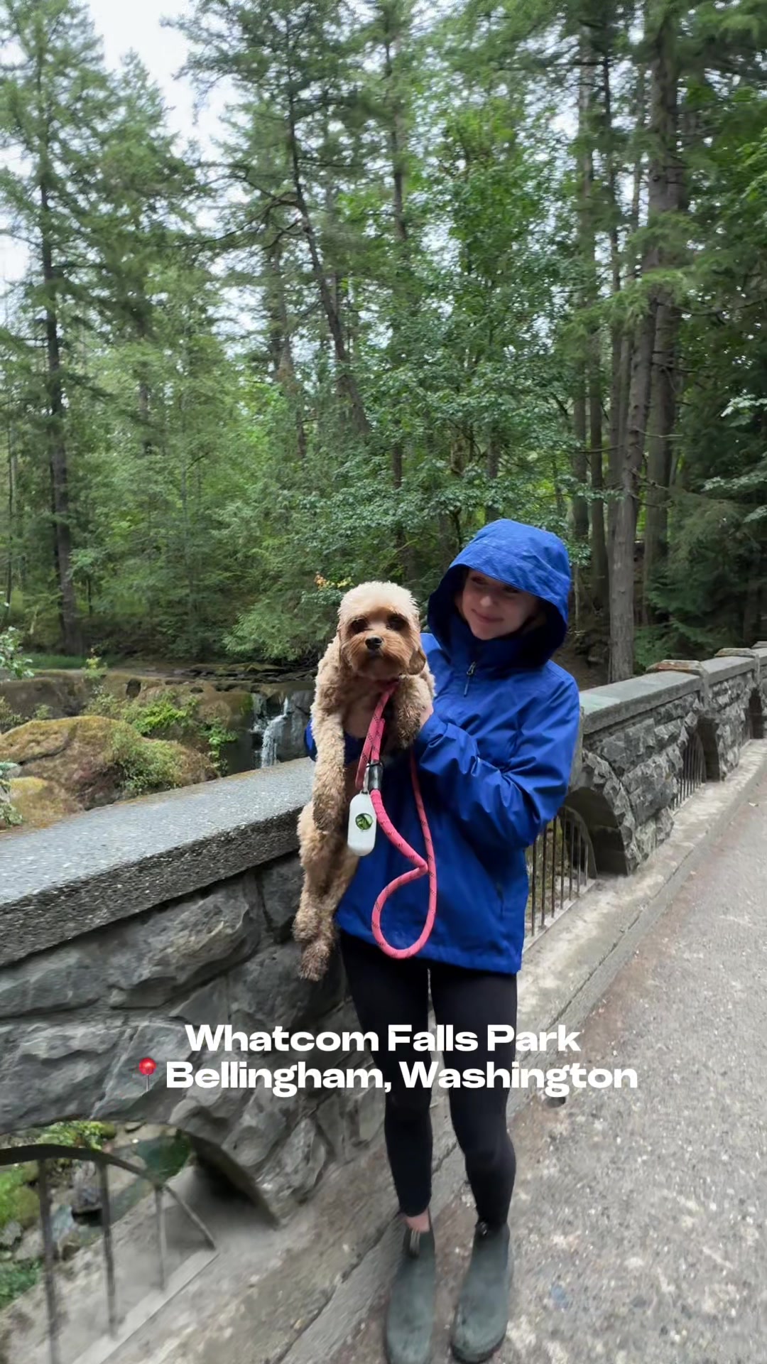 Whatcom Falls Park